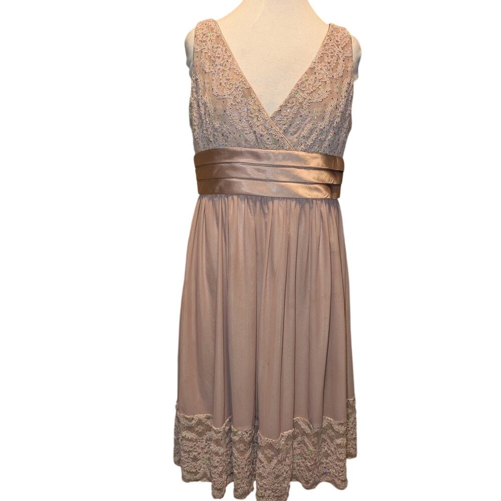 R&M Richards Champagne Pink Formal Dress Size 14
